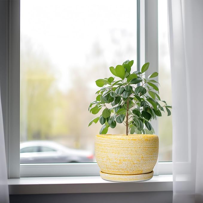 SQOWL Ceramic Flower Pots - 8 inch Plant Pot Indoor with Drainage Hole and Saucer Modern Ceramic Planter Outdoor Round Decorative Planter Living Room Home Decor Gifts for Plant Lovers Yellow