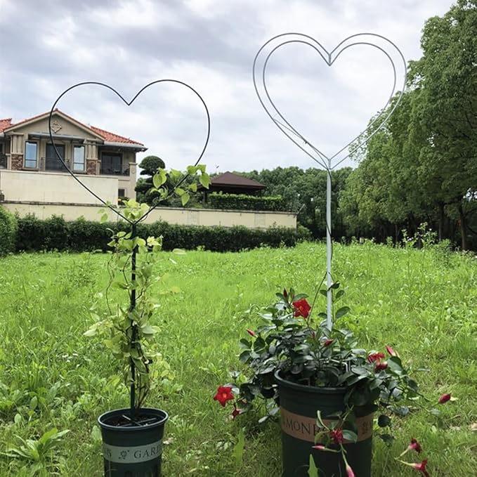 LTSRLL Indoor/Outdoor Pot Trellis Three-Dimensional Heart-Shaped Garden Trellis for Climbing Plants 104cm/40.9 High Small Hoya Plant Support(Black)