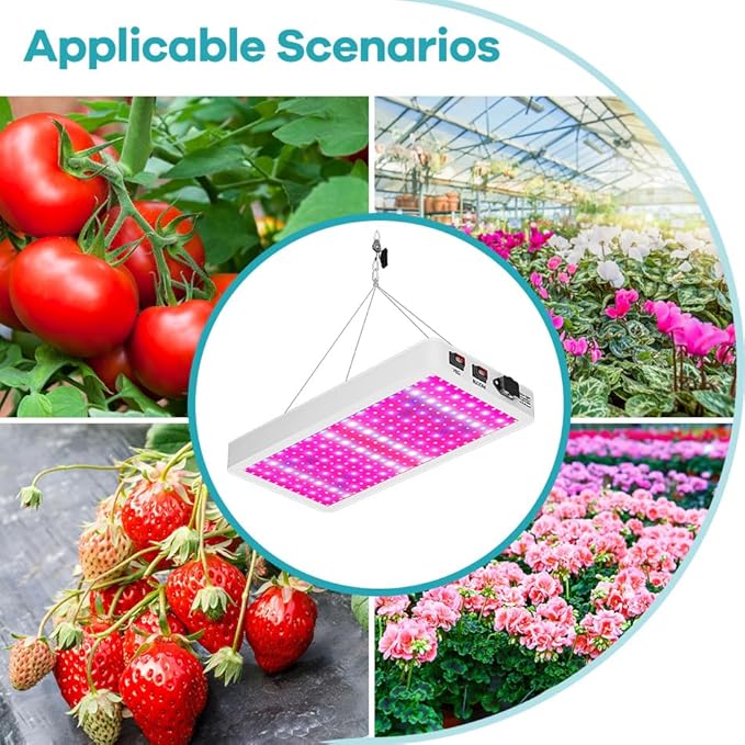 2Pcs 800W LED Grow Lights AC100-277V Plant Light BLoom/VEG 2Modes Dimmable Planting Fill Lamp 110V Greenhouse Tent Hydroponic Flower Vegs Succulent Potted Fruit Seeds Cultivation Lighting With US Plug