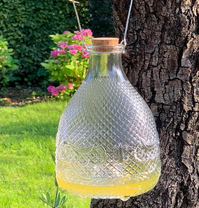 Esschert Design EG21 Wasp Trap Clear Hobnail Glass Large 8.75 H