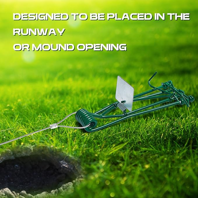 Qualirey 8 Pcs Gopher Trap with Chain Mole Vole Trap Gopher Killer Stainless Steel Weather Resistant for Lawn Garden Farm Outdoor (Green)