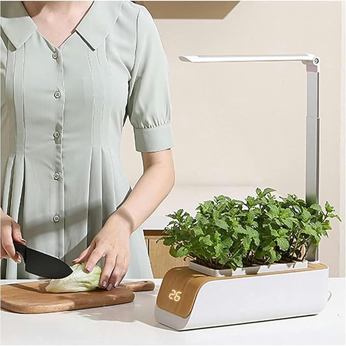Hydroponic Culture System Plant Flu