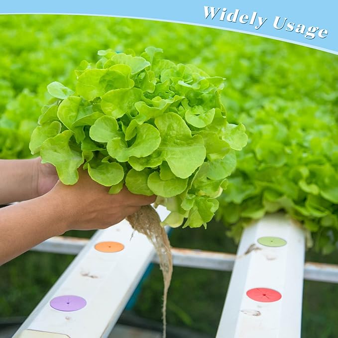 Lallisa 240 Pcs Clone Collars 2 Inch Foam Inserts for Hydroponic Cloning Machines Fits 2 Net Pots Reusable Collars for Hydroponics Plant Germination in DIY Cloner and Clone Machines (Multicolor)