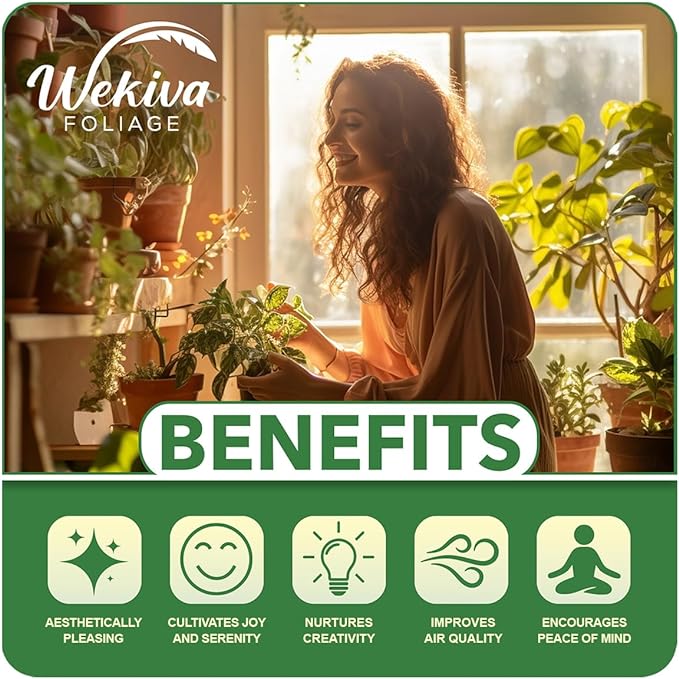 Philodendron Growing Soil Mix – 4 Quarts - Custom Soil Blend – Potting Mix for Philodendron Plants – Specially Developed by and for Professional Nursery Growers - Nutrient-Rich Formula