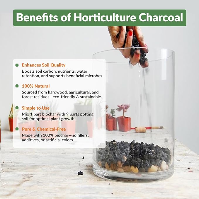 Old Potters Premium Horticultural Charcoal Chips Natural Soil Amendment for Areation and Healthy Microbe and Plant Growth. (12 Quarts)