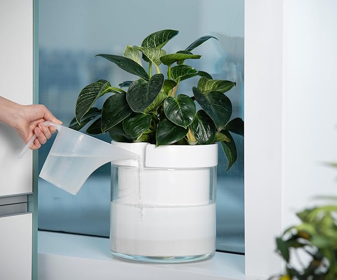 Phoenix Vine 10 Inch Self Watering Planter White Terracotta Clay Pot with Glass Reservoir for Indoor Plants Herbs Flowers Set of 1 52-B-I-1