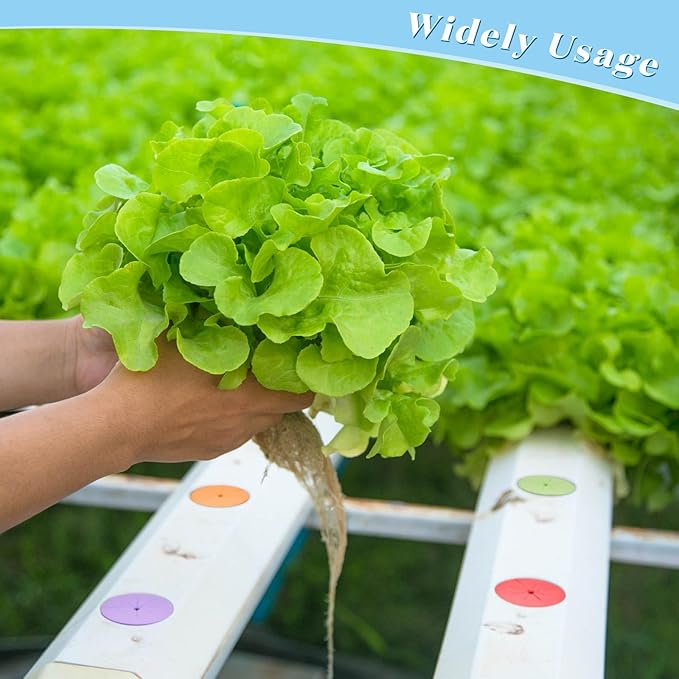 Lallisa 120 Pcs Clone Collars 2 Inch Foam Inserts for Hydroponic Cloning Machines Fits 2 Net Pots Reusable Collars for Hydroponics Plant Germination in DIY Cloner and Clone Machines (Multicolor)