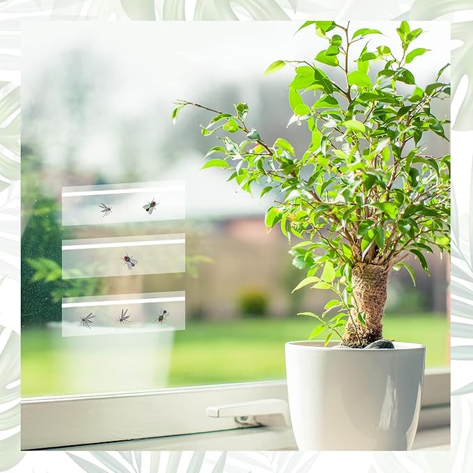 200 Pcs Window Fly Traps for Indoors Fly Paper Sticky Strips Fly Catcher Trap Tape Clear Window Fly Traps Non Toxic Sticky Glue Traps for Home House Waterproof Flys Killer Lady Bug Traps