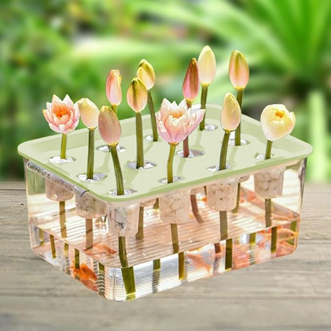 Hydroponic System Growing Kit Microgreens Growing Kit Garden Cabinet Box Easy to Use Indoor Hydroponics Tool for Vegetables Green Lid