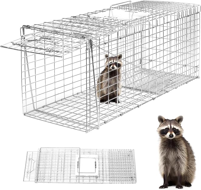 Animal Trap 26x10x9 Cage TrapHeavy Duty Folding Raccoon Traps Live Animal Cage TrapHumane Catch and Release Stray CatsSquirrelsRabbits