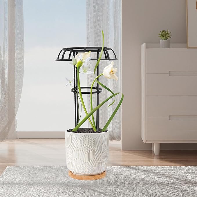 Adjustable Metal Garden Plant Trellis Climbing Rack for Outdoor and Indoor Plants Multi-use Vine Support Stand with Iron Frame for Potted Flowers and Vegetables