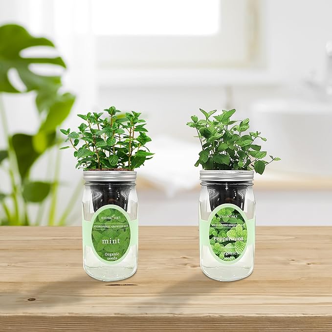 2-Pack Hydroponic Mason Jar Herb Garden Kit Indoor Herb Garden Self-Watering Starter Kit New Christmas Gift for Mom (MintPeppermint)