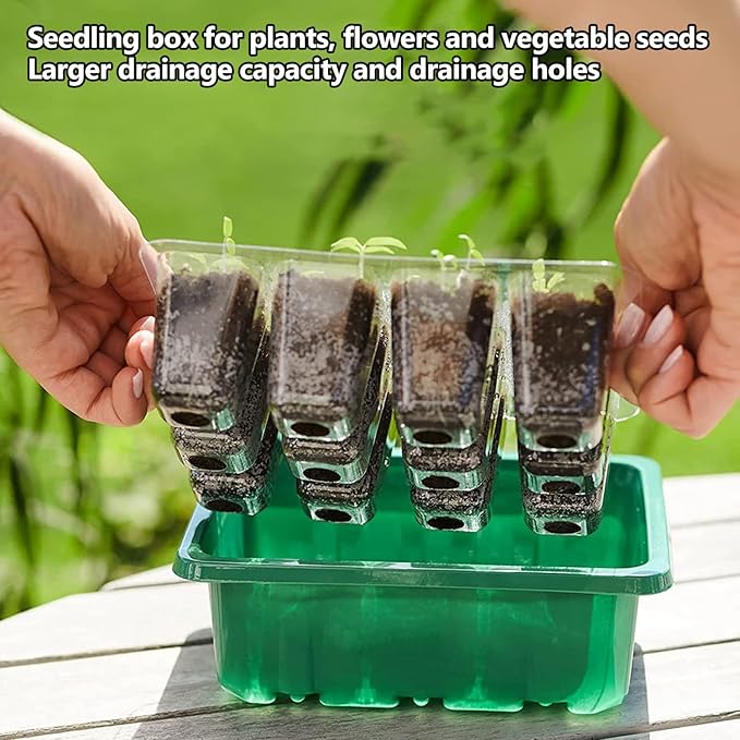 payanwin 6-Pack Seed Starter Tray Kit with Grow Light Adjustable Brightness &amp Timing Controller Seedling Trays with Humidity Domes &amp Heightened Lids Thicken Design Ideal for Indoor Plant G