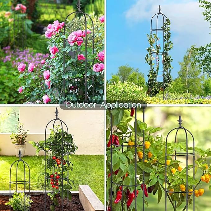 Garden Trellis for Climbing Plants Outdoor 6.2 Ft Rose Trellis for Pots Metal Plant Flower Trellises for Vine Support Outdoor Indoor (Black 6.2ft)rellis for Climbing Plants Outdoor Black