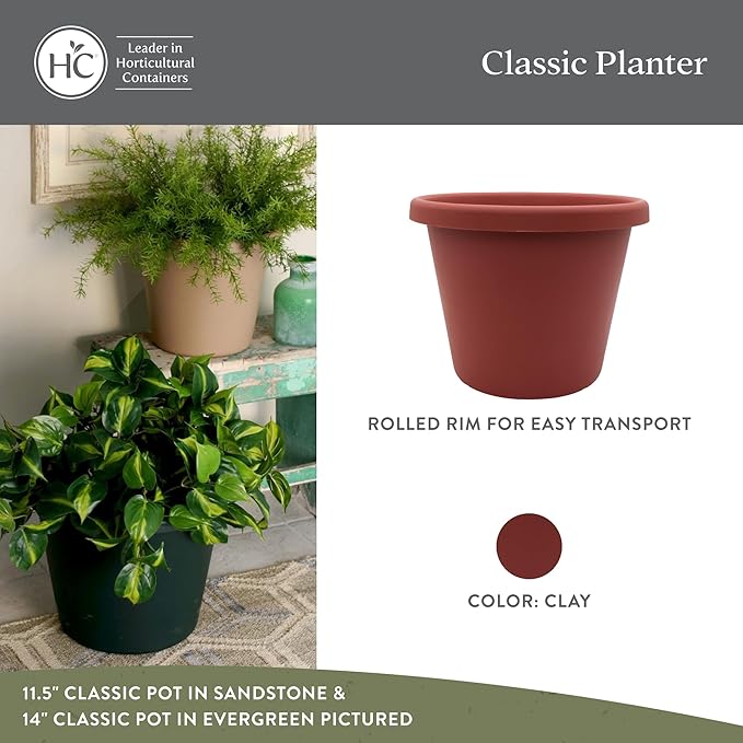 The HC Companies 11.5 Inch Classic Round Planter Pots with Drainage Rolled Rim Plastic Planters for Indoor &amp Outdoor Plants 2-Pack Decorative Flower Pots for Garden Office &amp Home Decor Cla