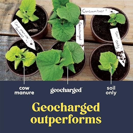 Organic Fertilizer Biochar Activated with Chicken Manure Indoor Outdoor Plant Food Kid and Pet Safe No Odor for Soil Flowers Potted Plants Raised Beds Vegetable Garden Compost 10 lb
