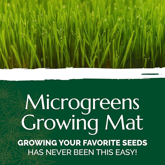 Chanvra Grow Microgreens Growing Mat Natural Hemp Mats for Growing Sprouting Kits Hydroponic Hemp Pads Hemp Grow Mat for Wheatgrass Sunflower &amp More Microgreen Mat 10x20 (10)