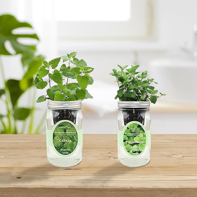 2-Pack Hydroponic Mason Jar Herb Garden Kit Indoor Herb Garden Self-Watering Starter Kit New Christmas Gift for Mom (CatnipPeppermint)