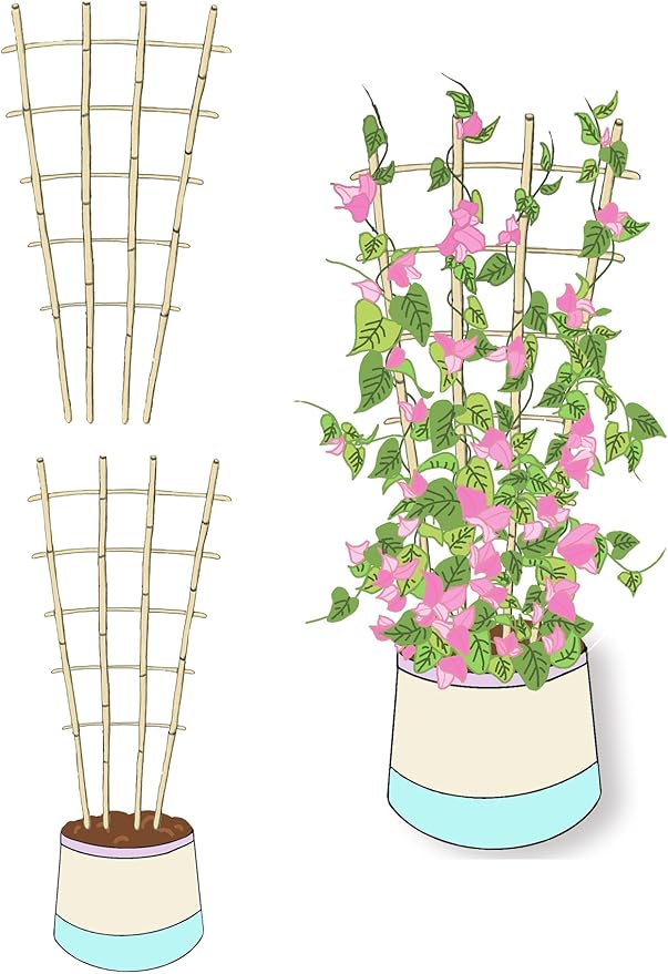 Natural Bamboo Trellis 3Feet3PackFan-Shaped Plant Support Trellis for Outdoor and Indoor Potted Climbing PlantsVegetables Cucumber Tomato Hoya
