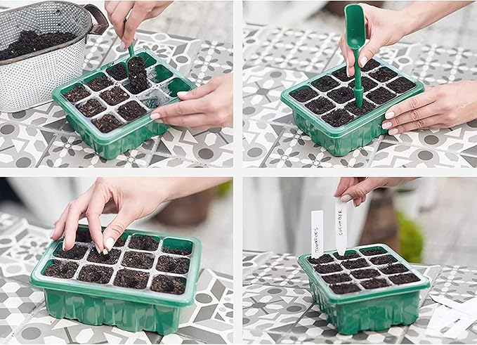 payanwin 6-Pack Seed Starter Tray Kit with Grow Light Adjustable Brightness &amp Timing Controller Seedling Trays with Humidity Domes &amp Heightened Lids Thicken Design Ideal for Indoor Plant G