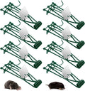 Metal Mole &amp Gopher Trap - Reusable Tactical Mole Gopher Killer Outdoor Vole Traps for Voles Gophers Rats Ground Moles - Yard Garden Lawn Protection Pack of 8 Green