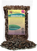 Gardenera Monstera Adansonii Planting Mix: Maximize Aeration Drainage &amp Nutrient Holding Capacity - 5 Quart Bag