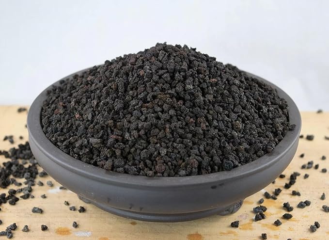 1/8 Small Horticultural Black Lava for Cactus &amp Succulent Bonsai Tree Soil Mix 2 gal.
