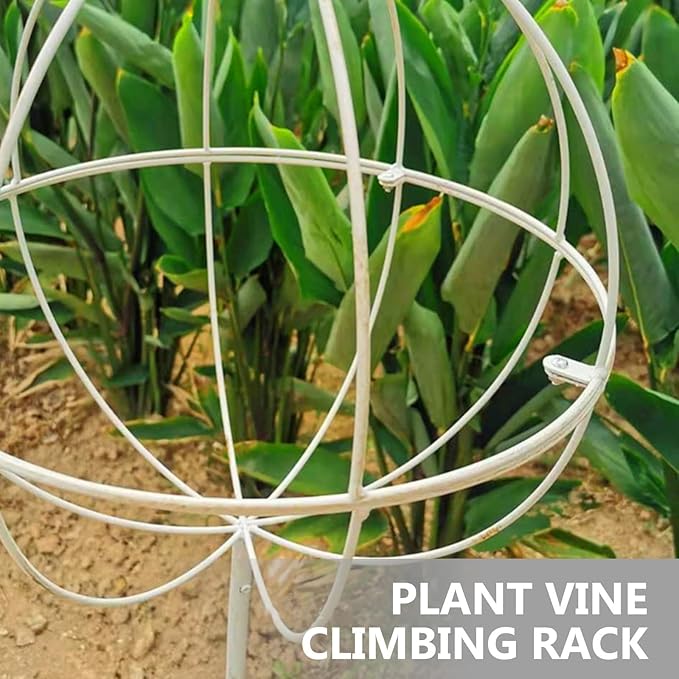 Ciieeo Decorative White Metal Vine Trellis Climbing Plant Support Rack for Garden and Potted Plants Vintage Style Climbing Vine Frame