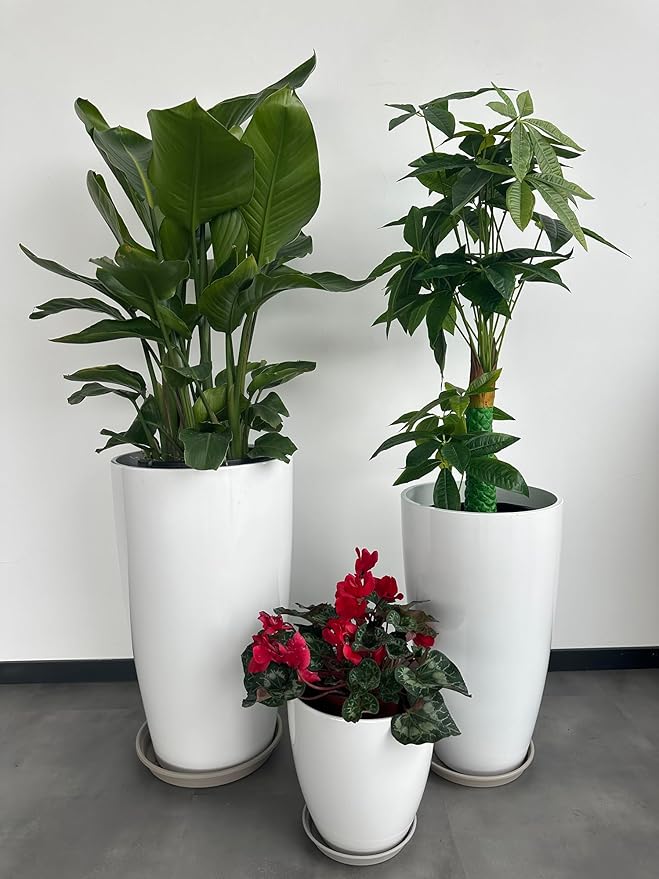 242111 Inch Large Plastic Planters with Drainage Hole and Saucer - Set of 3 Tall Plant Pots Indoor Flower Pot Tall Round Planters Outdoor Large Tall Planter