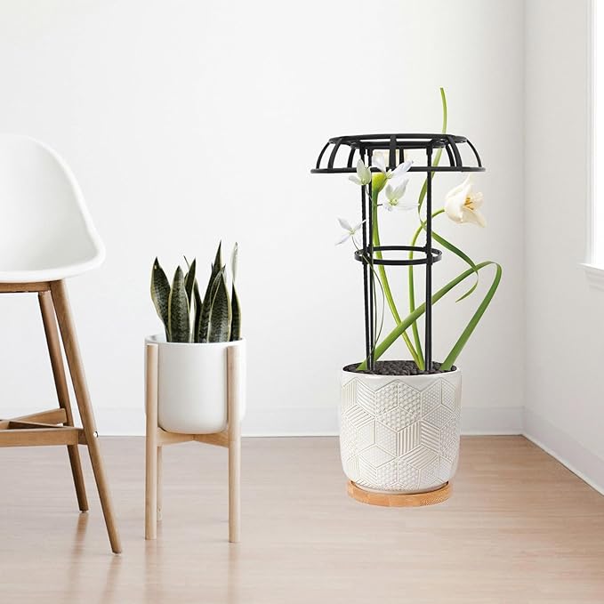 Metal Garden Trellis for Climbing Plants and Potted Plants Outdoor Indoor with Iron Frame for Vine Shaping