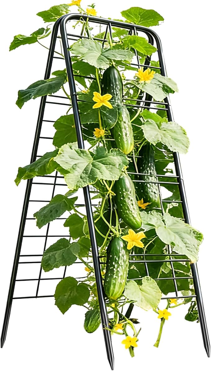 100% Metal Cucumber Trellis for Raised Bed50x17 A-Shape Garden Plant Support for Climbing Plants Heavy Duty Metal Garden Trellises Plant Support for Vine Vegetables Outdoor (Black 50x17(H*W))