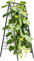 100% Metal Cucumber Trellis for Raised Bed50x17 A-Shape Garden Plant Support for Climbing Plants Heavy Duty Metal Garden Trellises Plant Support for Vine Vegetables Outdoor (Black 50x17(H*W))