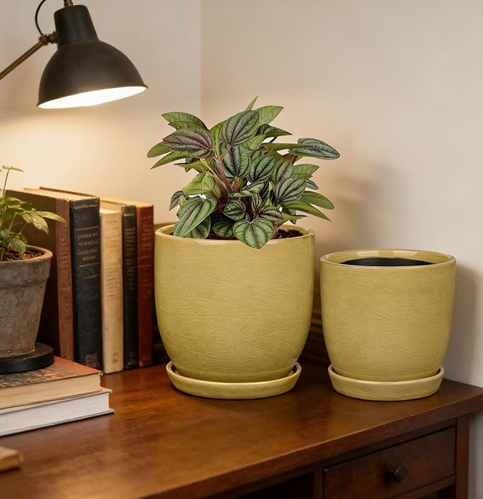 Ceramic Plant Pots 5 Inch + 4 Inch Set of 2 Flower Plants Pot with Drainage Holes and Saucers Tray Planter Garden Pot for Succulent Cactus Home Decoration Gift Indoor Outdoor Green