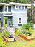 Gardener's Supply Company Raised Garden Bed | Outdoor Planter Box w/Extra Deep Height for Rooted Plants Herbs Flowerbed &amp Vegetable Garden Cedar Wooden Box | 3' W x 3' L x 14 H