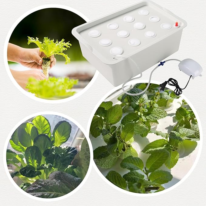NATGAI Hydroponic System Growing Kit with Air Pump 12 Holes Soilless Cultivation Grow Box Garden Cabinet Box for Herbs Lettuce Vegetables
