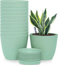 6inch 12Pack Plant Pots Plastic Planter for Indoor Outdoor Flowers Plants Green