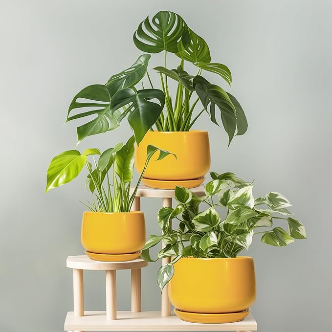 G EPGardening Ceramic Pots for Plants - 7 Inch Plant Pot with Drainage Hole and Saucer Modern Ceramic Planter for Indoor Outdoor Round Flower Planter Gifts for Plants Lovers Home Decor Yellow
