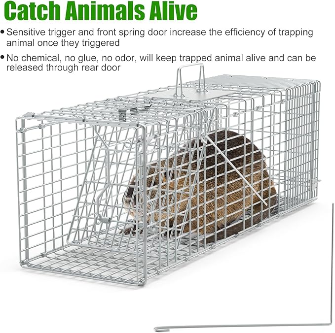 35.43 Live Animal Cage Trap with Gloves Collapsible Heavy Duty Humane Cat Catch Release Rodent Cage Trap Cage for Raccoons Beavers Groundhogs Foxes Armadillos Stray Cat