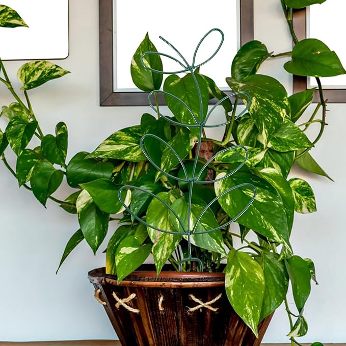 2pcs Climbing Plant Support Trellis for Garden and Indoor Plants Green Iron Frame Cage for Tomato and Vine Sturdy Outdoor Climbing Support Structure