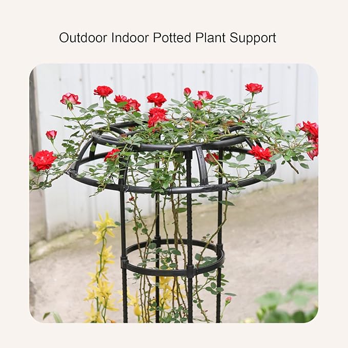 FLEXMAN Garden Trellis for Climbing Plants 50cm Diameter Climbing Vine Frame Round Garden Trellis Tomato Cages for Climbing Vines Rose Bushes Indoor Potted Plants Tomatoes (3 Tier)