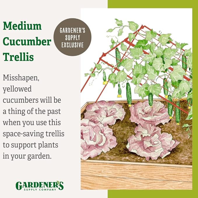 Gardener's Supply Company Cucumber Trellis | Garden Bed Support for Cucumbers &amp Climbing Plants | Outdoor Plant Support w/ 4 Grids for Easy Harvesting | 32 x 48 - Medium (Red)