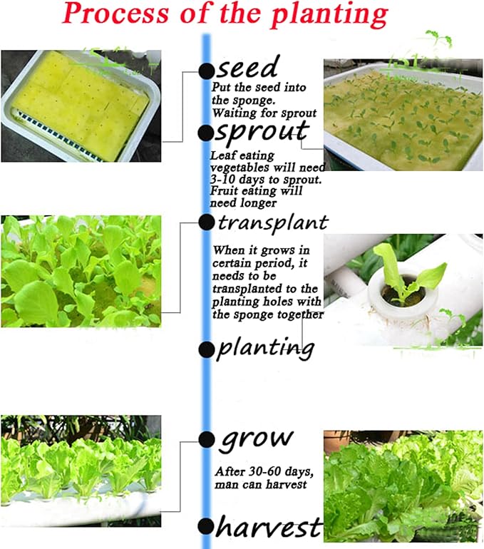 Hydroponic Growing System 10 Plant Site Hydroponics Gardening Grow Single Layer 2 Pipes Planting System with Water PumpPlanting Sponge and Hose for Vegetable Cultivation