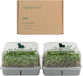 Self-Watering Microgreens Growing Kit with 20 Capillary Grow Mats and Humidity Domes 4 Trays for Growing Multiple Micro Greens and Sprouts Hydroponic Growing System with Water Level Indicator