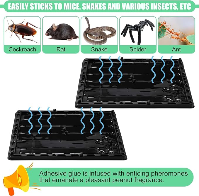 Qualirey 6 Pcs Jumbo Rat Mouse Glue Traps 10 x 10.8 Peanut Taste Pheromone Mouse Traps Large Glue Mouse Traps Snake Mouse Sticky Trap for House Warehouse Indoor Outdoor Child &amp Pet Friendly