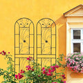 Sturdy Metal Garden Trellis for Climbing Plants – Rust-Resistant Outdoor Flower Support with Elegant Peacock Design (2 Pack)