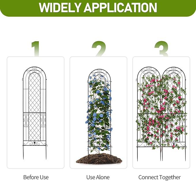 EEBABUO 2-Pack Rustproof Iron Garden Trellis for Climbing Plants - 16x61 Inch Sturdy Metal Plant Support with Arched Design &amp Easy Installation (Black)