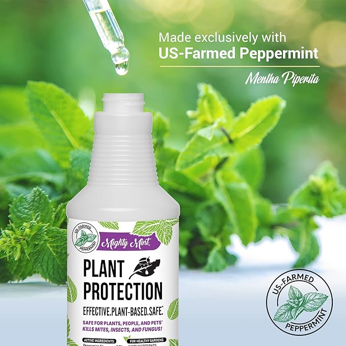 Mighty Mint Peppermint Oil Plant Protection Spray – Insect &amp Pest Control for Gnats Spider Mites &amp Aphids – Plant-Based Easy-to-Use with Microfiber Cloth- 32 oz