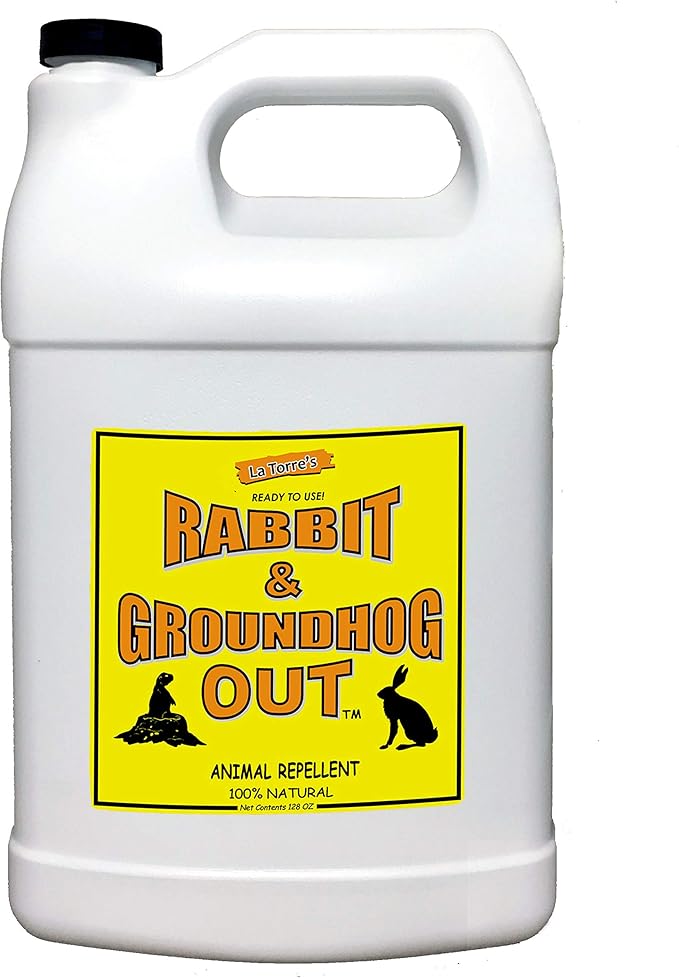 Rabbit &amp Groundhog Repellent: Rabbit Out 1 Gallon Ready-to-Use- Refill * NO Sprayer Included *