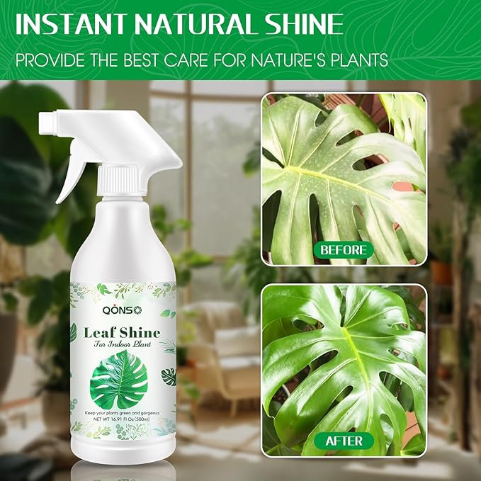 Leaf Shine Spray - Ready-to-Use Gloss &amp Polish for Indoor Plants Instant Glow Leaf Cleaner for Indoor Plants Ideal for Fiddle Leaf Fig Ficus Audrey Monstera and More - 16.91 OZ