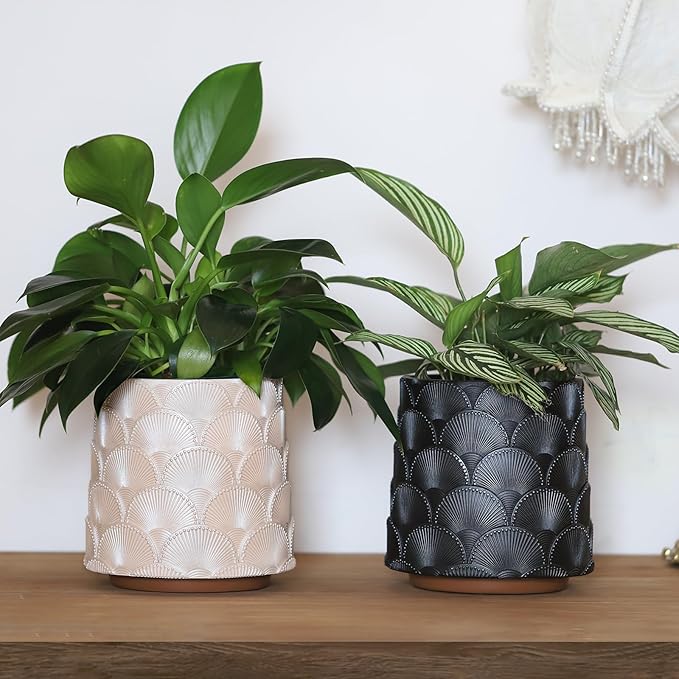 GUGUGO Pearl Beige Scale Planter Cute Unique Plant Pot with Drainage Eclectic Colorful Small Flower Planters Pots for Indoor &amp Outdoor Plants Rainbow Funny Succulent Gardening Pot Gifts